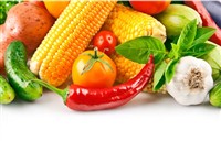 Fresh Vegetables Photo Stock